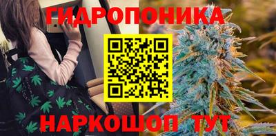 не бодяженный Краснознаменск