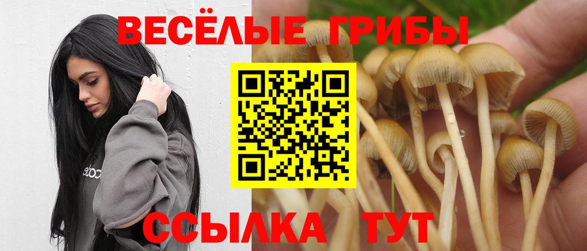 Кириши  Галлюциногенные грибы Psilocybine cubensis  Вход с VPN 